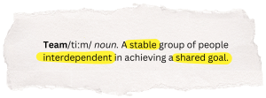 The definition of team: a stable, bounded group of people interdependent in achieving a shared goal.